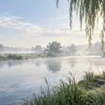 Mit KI erstelltes Symbolbild einer stillen Flusslandschaft für die Tierbestattung Zeitz